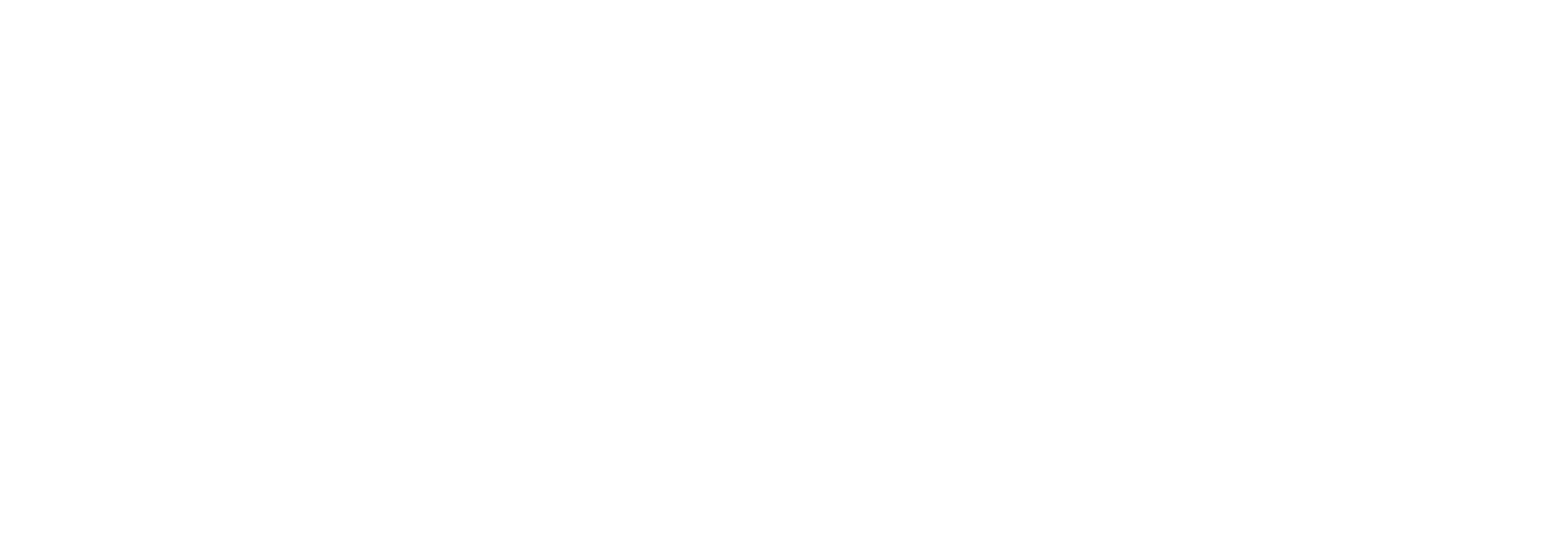 interdis-logo-blanc