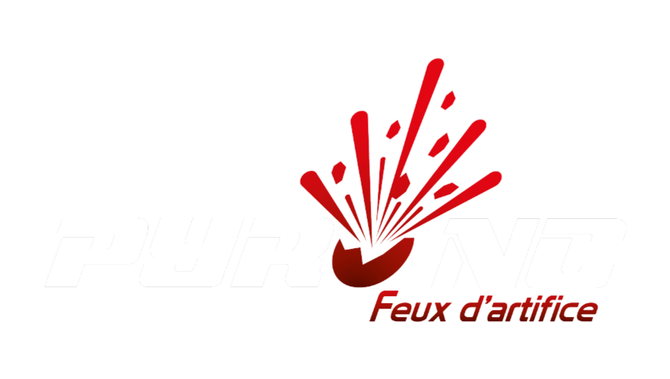 interdis-pyro-nc-logo-blanc