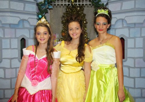 animations-et-services-les-personnages-deguises-6